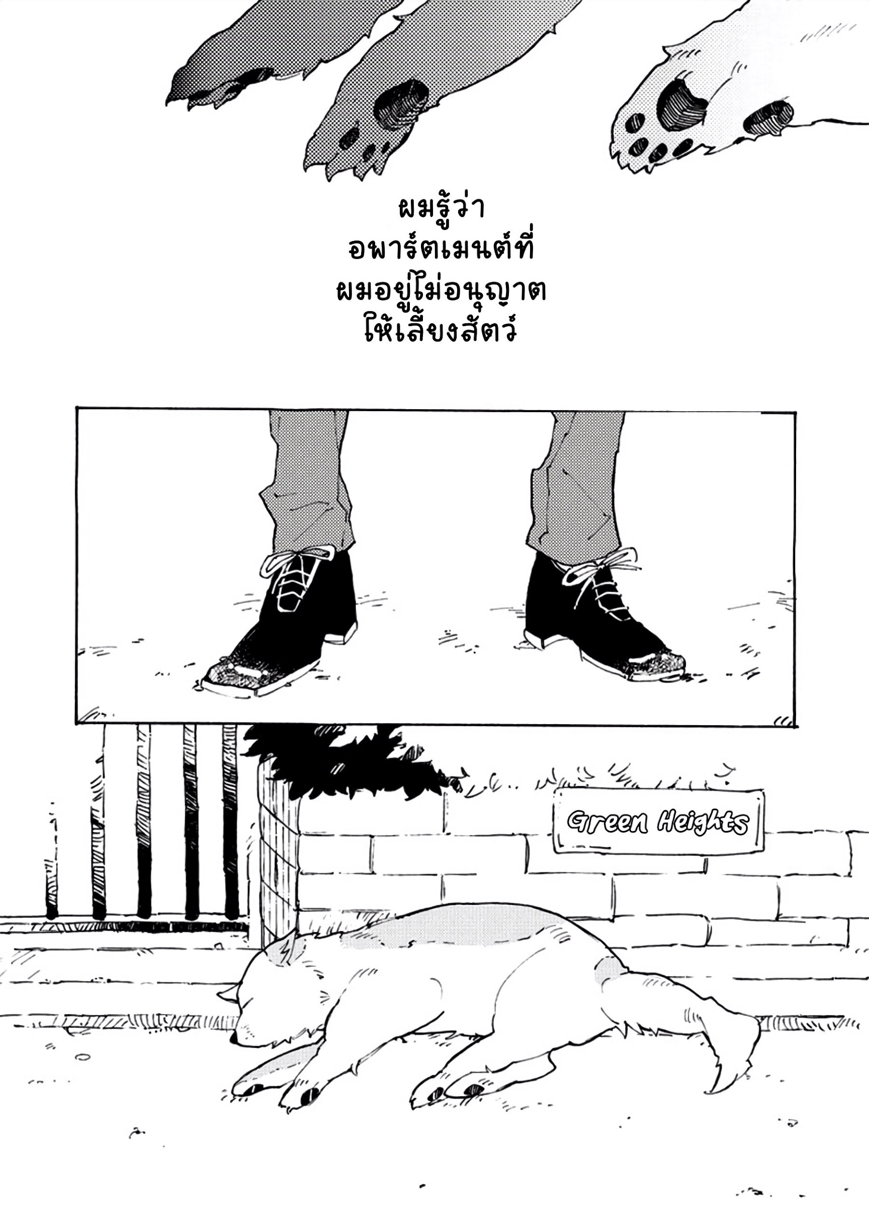 สุนัขของผม 1-6